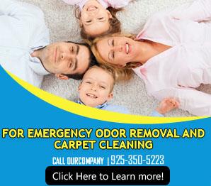 Upholstery Cleaner - Carpet Cleaning Walnut Creek, CA