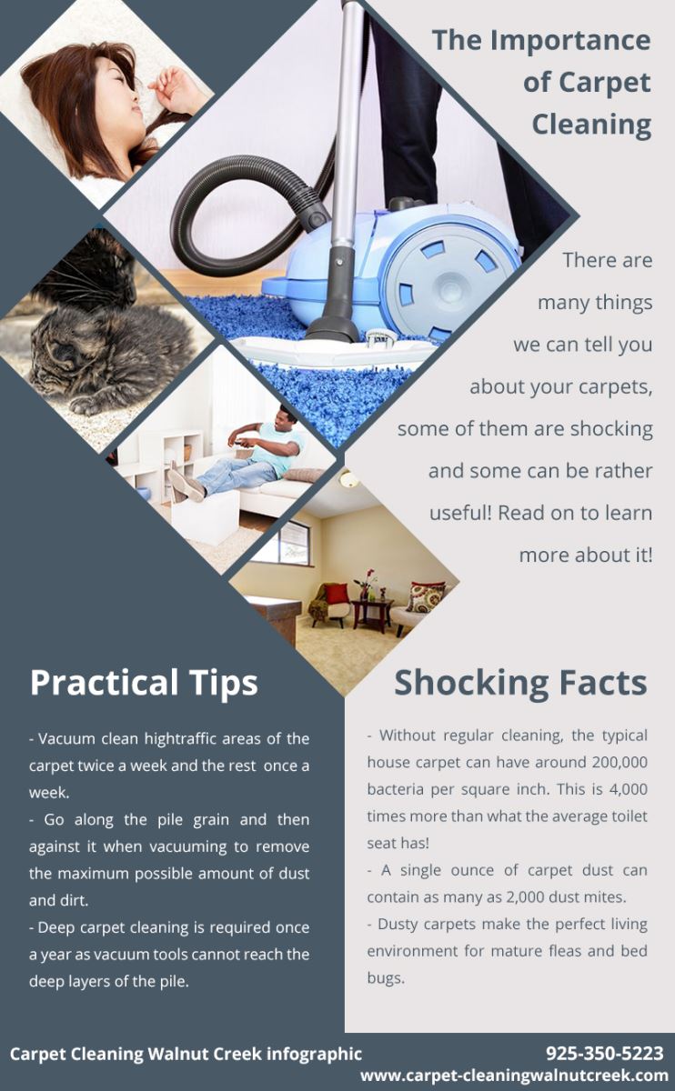 Carpet Cleaning Walnut Creek Infographic